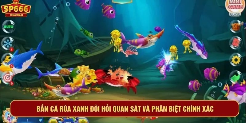 Bắn cá rùa xanh đòi hỏi quan sát và phân biệt chính xác