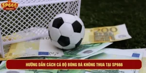 cách cá độ bóng đá không thua
