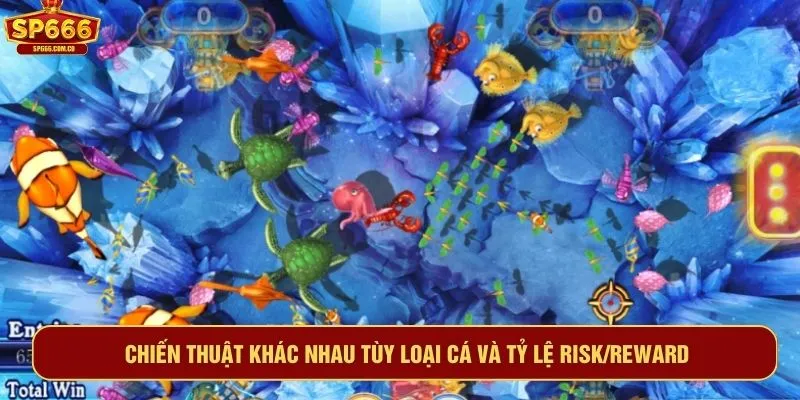 Chiến thuật khác nhau tùy loại cá và tỷ lệ risk/reward