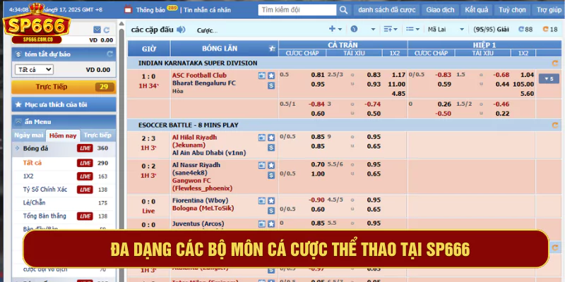 Đa dạng các bộ môn cá cược thể thao tại SP666