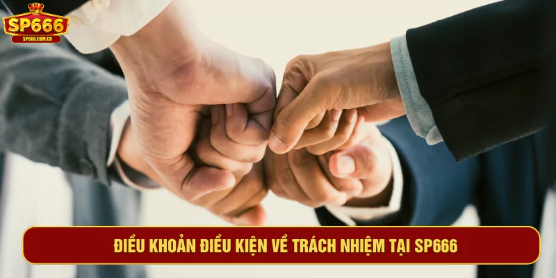 Điều kiện điều khoản khi đăng ký tài khoản