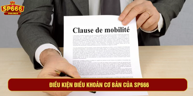 Điều kiện điều khoản cơ bản của SP666