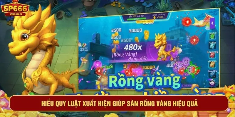 Hiểu quy luật xuất hiện giúp săn rồng vàng hiệu quả