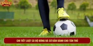 Luật cá độ bóng đá cơ bản
