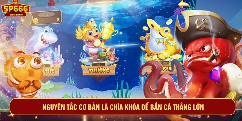 Nguyên tắc cơ bản là chìa khóa để bắn cá thắng lớn