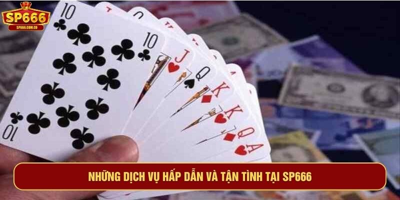 Những dịch vụ hấp dẫn và tận tình tại SP666
