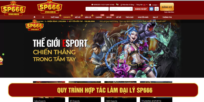 Quy trình hợp tác làm đại lý SP666