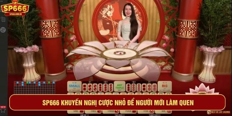SP666 khuyến nghị cược nhỏ để người mới làm quen