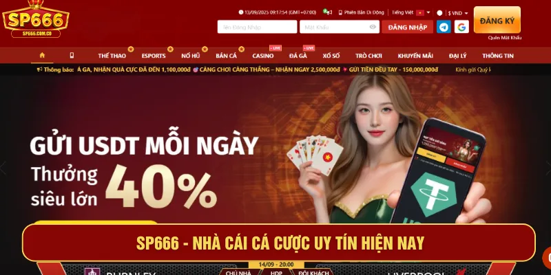 sp666 - Hình 1